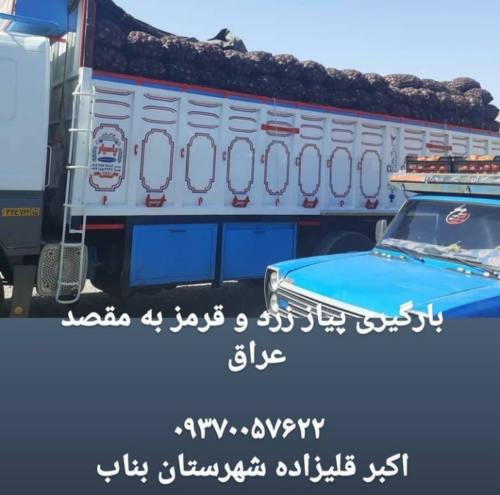 بارگیری پیاز زرد و قرمز به مقصد عراق