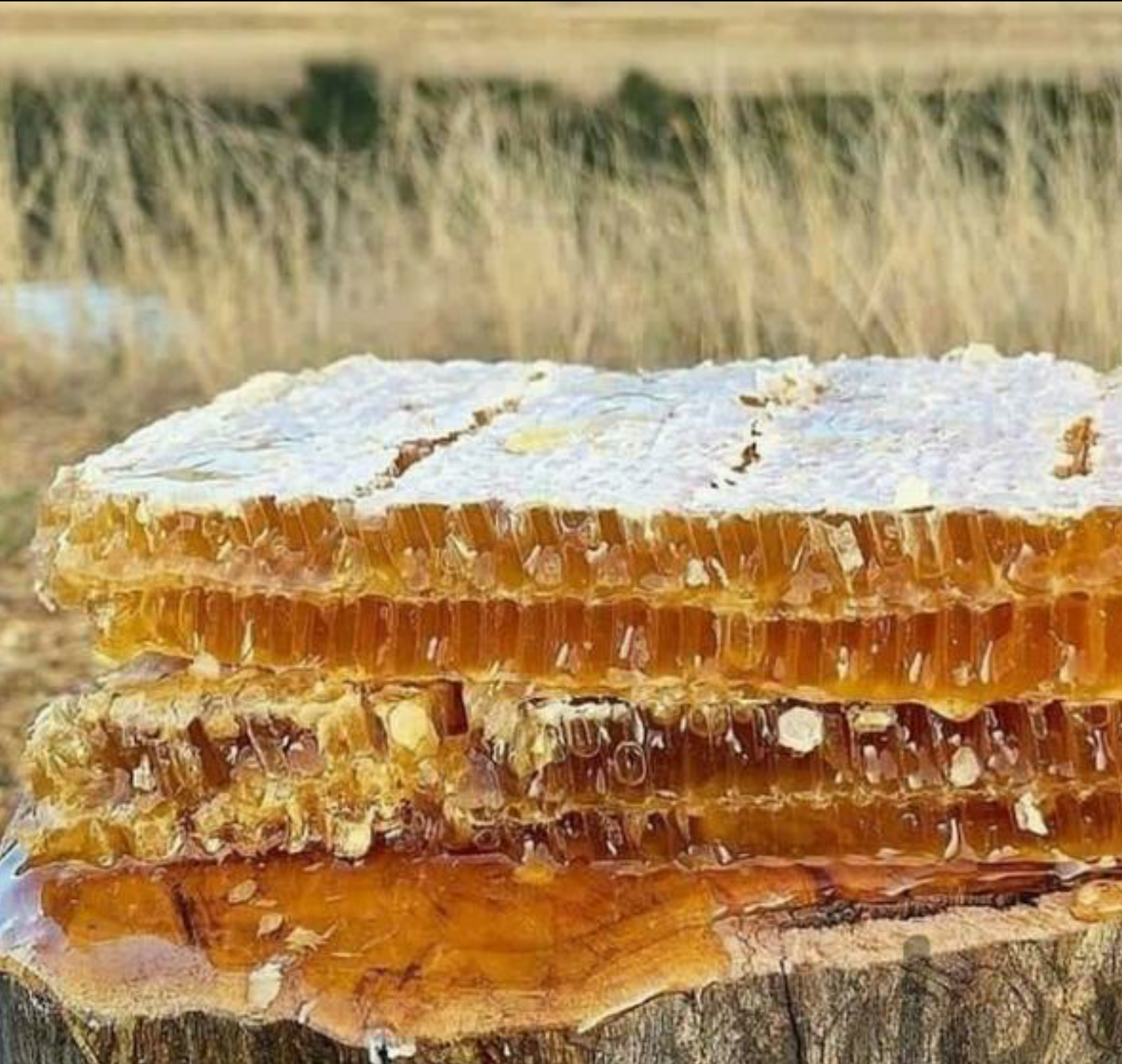 عسل طبیعی سبد خود باف مطمعن (ییلاقات مرز ترکیه و ایران)