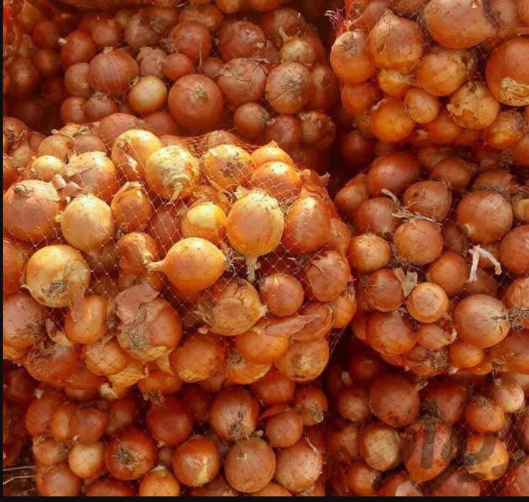 پیاز زرد طلایی صادراتی