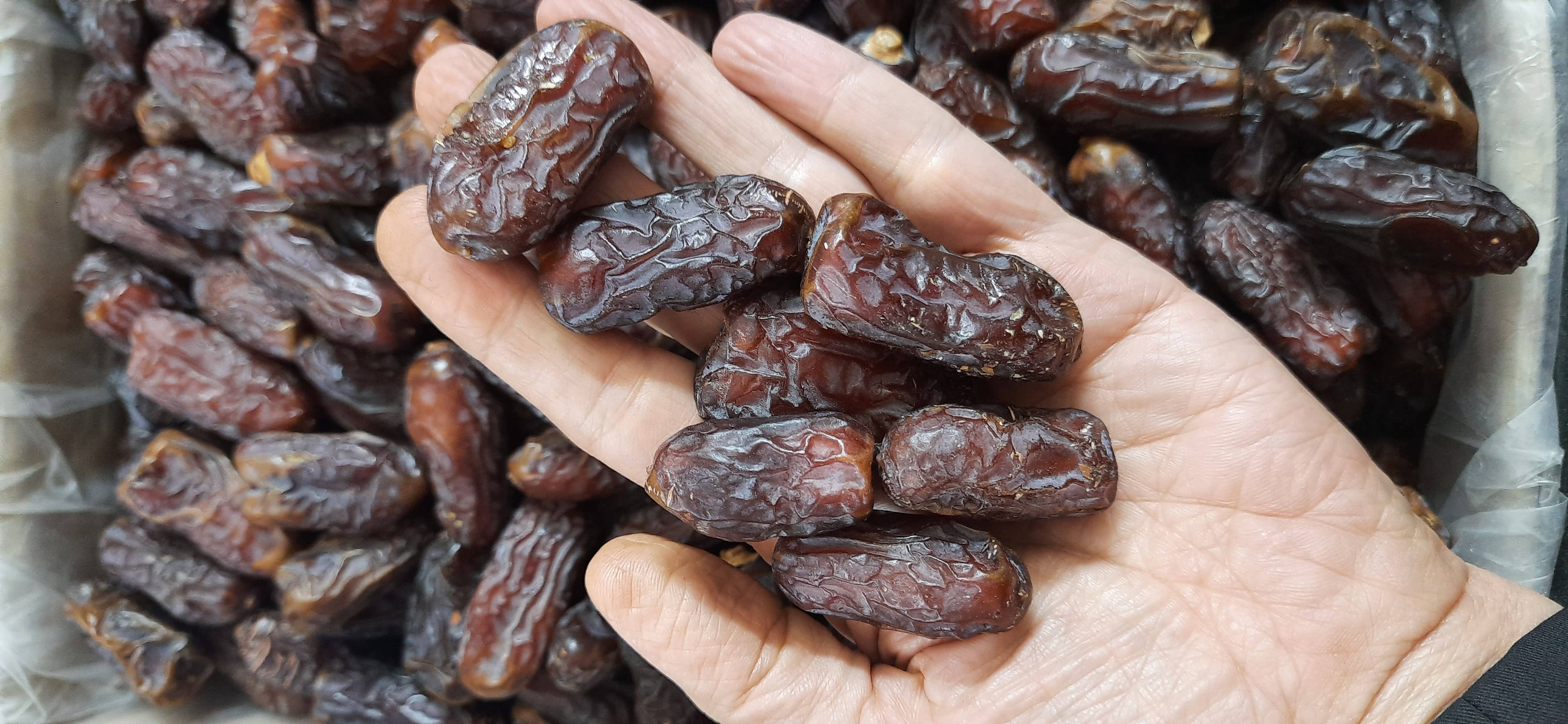 خرمای پیارم و خاصویی