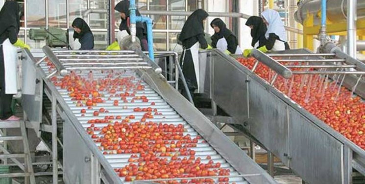 ۳۰ هزار میلیارد تومان نقدینگی برای اجرای کشاورزی قراردادی