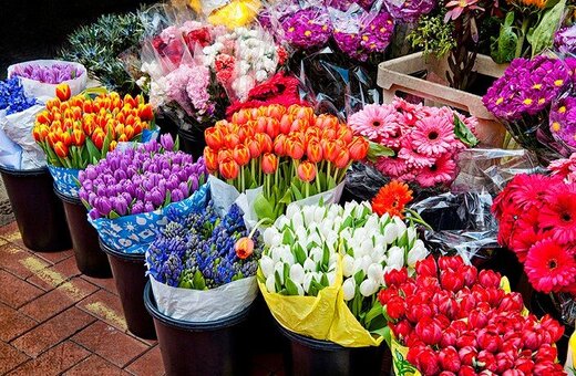 تعطیلی نیمی از فروش آنلاین گل با محدودیت‌های اینترنتی