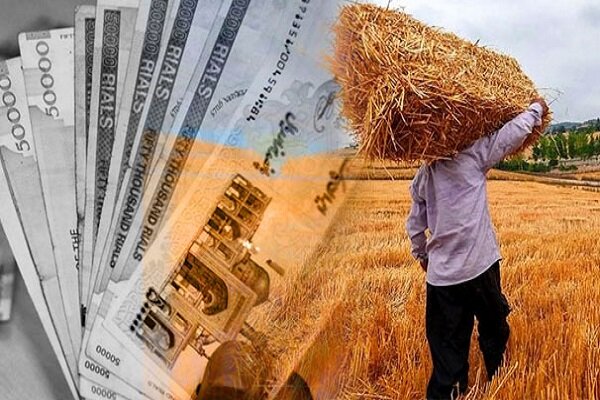قول دولت برای تسویه مطالبات گندمکاران تا پایان هفته