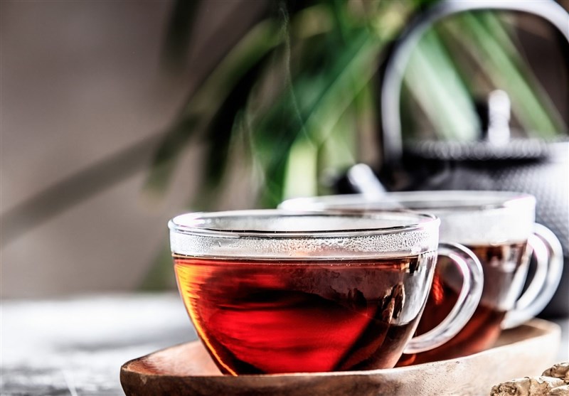 تولید ۲۶ تن چای خشک در کشور/ ۹۸ درصد مطالبات چایکاران پرداخت شد