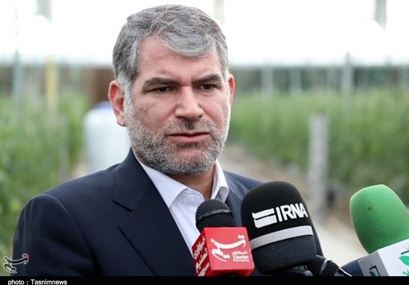وزیر جهاد کشاورزی‌: ‌‌گوشت منجمد توزیعی در بازار، ایرانی است