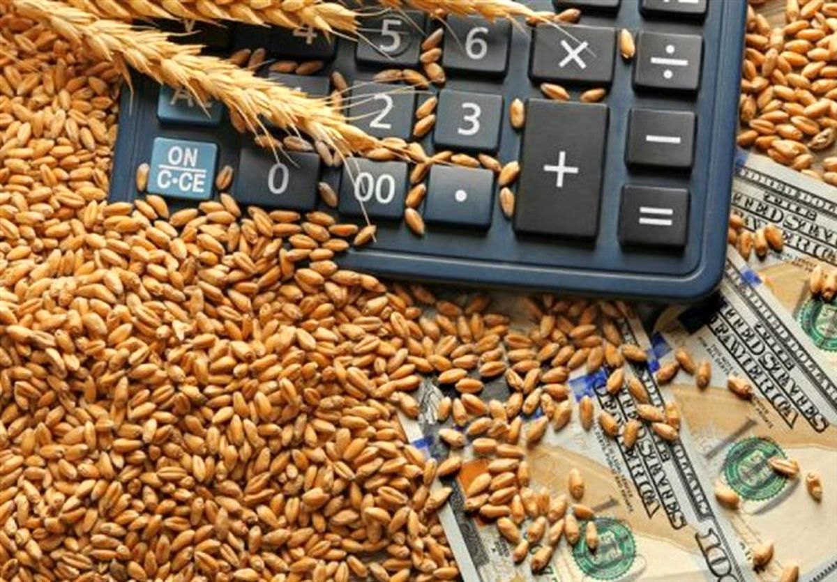آغاز خرید تضمینی گندم از امروز/اصلاح قیمت خرید تضمینی گندم در راه است؟