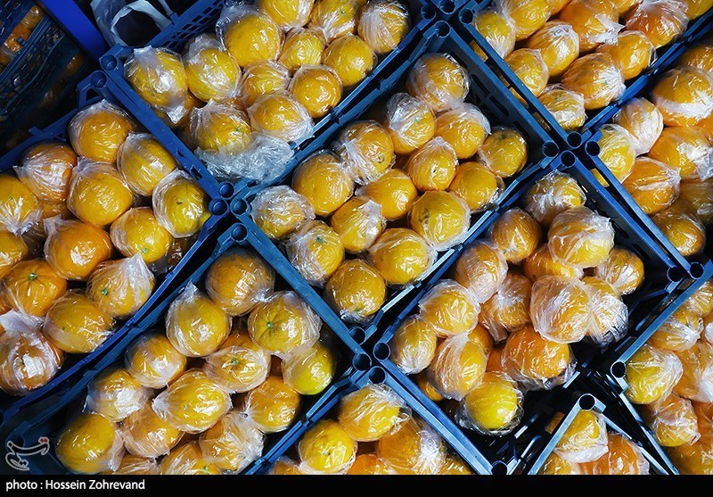 قیمت عمده فروشی میوه و صیفی در تهران اعلام شد